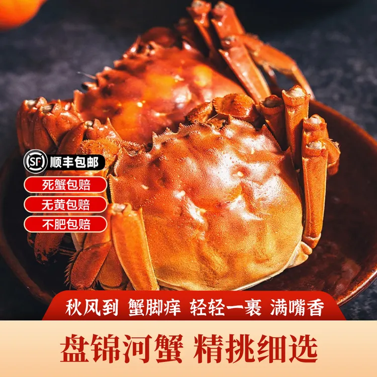 河蟹/稻田蟹正宗盘锦全母蟹黄膏肥产地直发 1-1.6两/只 顺丰冷链直达