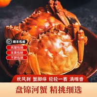 【活蟹】盘锦河蟹 1~1.3两/只 全母 到手3斤 鲜活发货