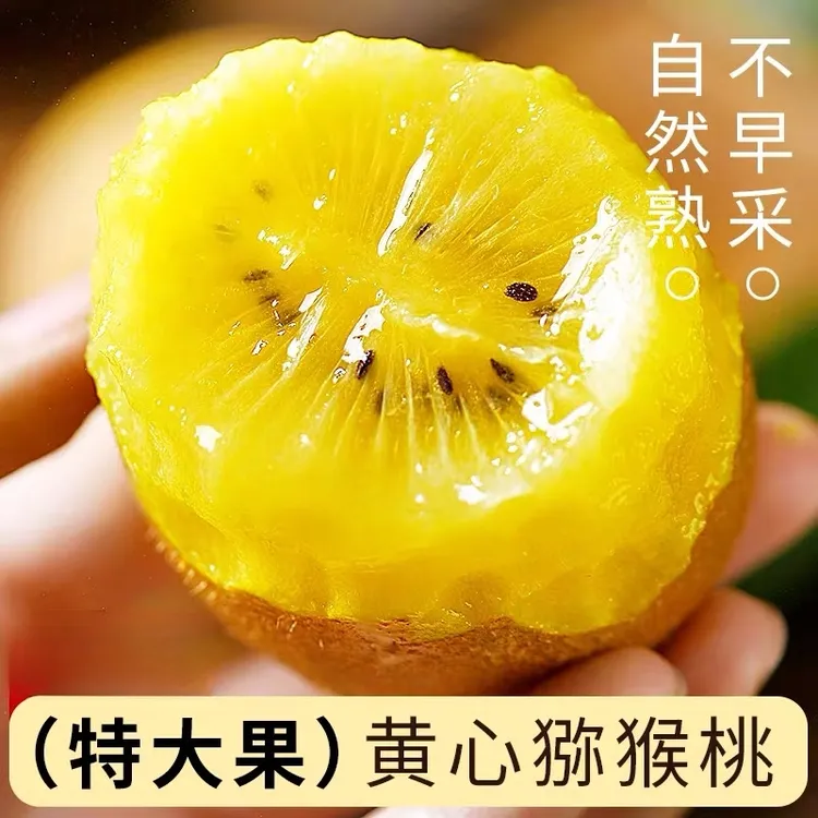 正宗四川蒲江黄心猕猴桃奇异果孕妇树上熟20特大果当季大果30包邮
