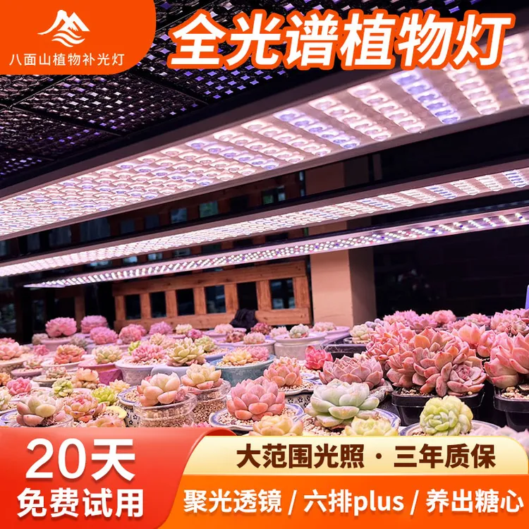 八面山【聚光款】多肉补光灯室内家用多肉花卉绿植全光谱植物补光灯
