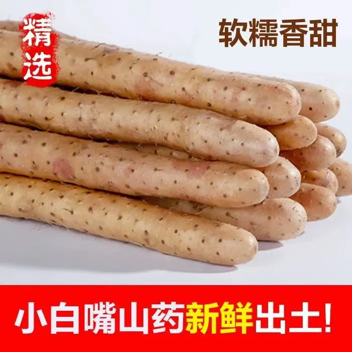 小白嘴山药正宗铁棍山药产地直发河南铁棍山药淮山药农家菜商品卡