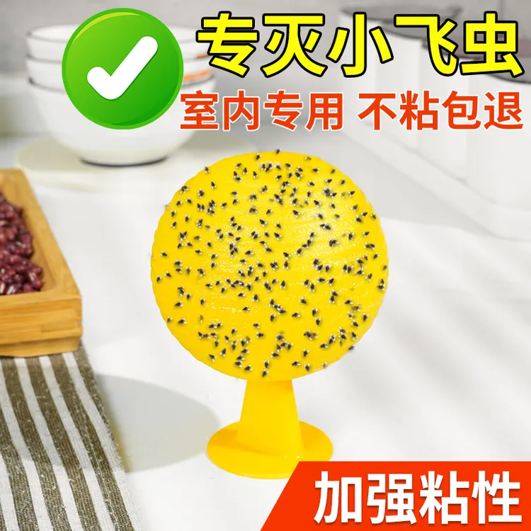 果蝇诱捕小飞虫灭杀神器室内户外蚊虫克星厨房蠓虫粘虫球杀蝇饵剂
