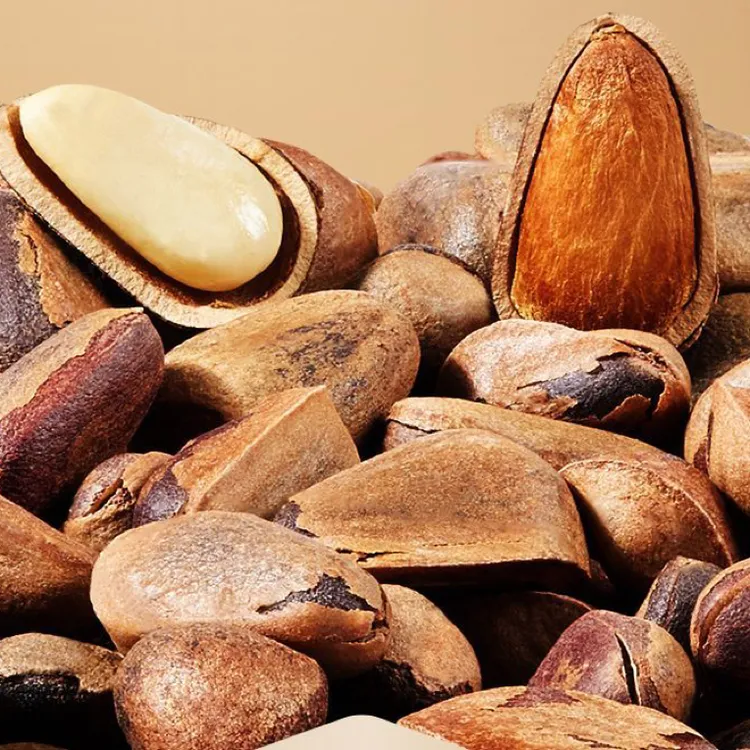 头茬新果特级大颗粒原味碳烤东北松子铁锅笨炒