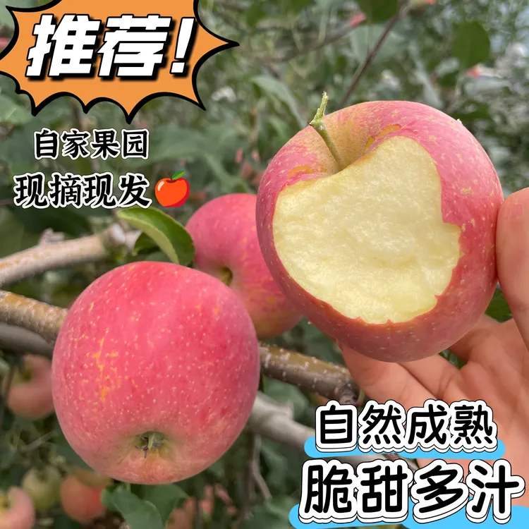 四川新鲜应季红富士脆甜多汁肉质细脆当天现摘现发水果丑苹果汉源