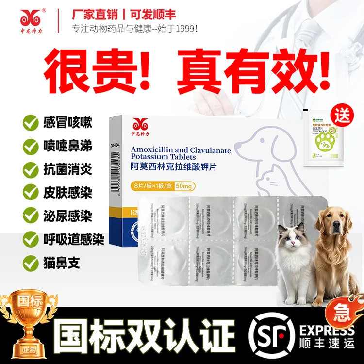 猫咪消炎片剂50mg速宠物诺阿莫西林克拉维酸钾速片猫鼻支多西环素