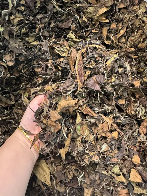 2018年福鼎豆香甜寿眉白茶原件
