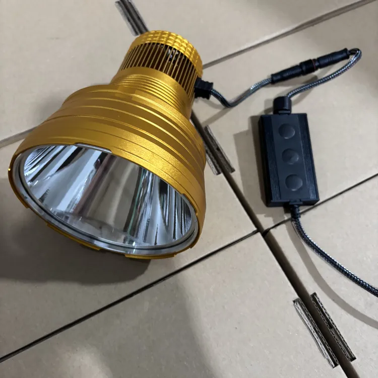 户外照明灯激光一体W450