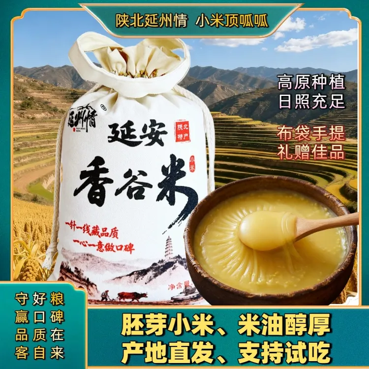 【延州情】2025新米上市陕北延安香谷米黄小米油小米宝宝米月子米