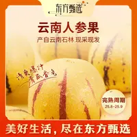 东方甄选自营云南人参果饱满皮薄清甜回甘多汁应季水果坏果包赔