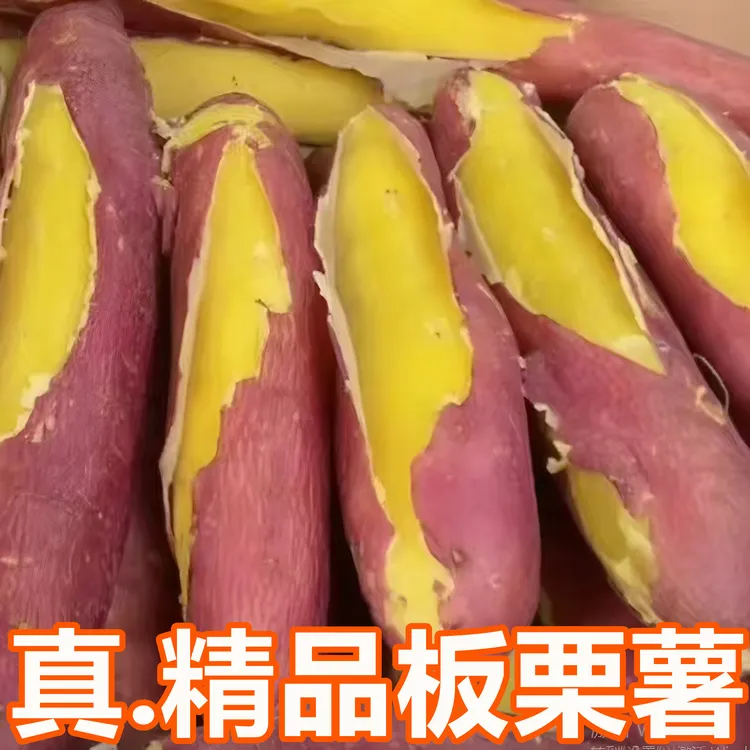 【新鲜板栗薯】正宗新鲜板栗红薯黄心蜜薯地瓜山芋蔬菜4.5/9斤