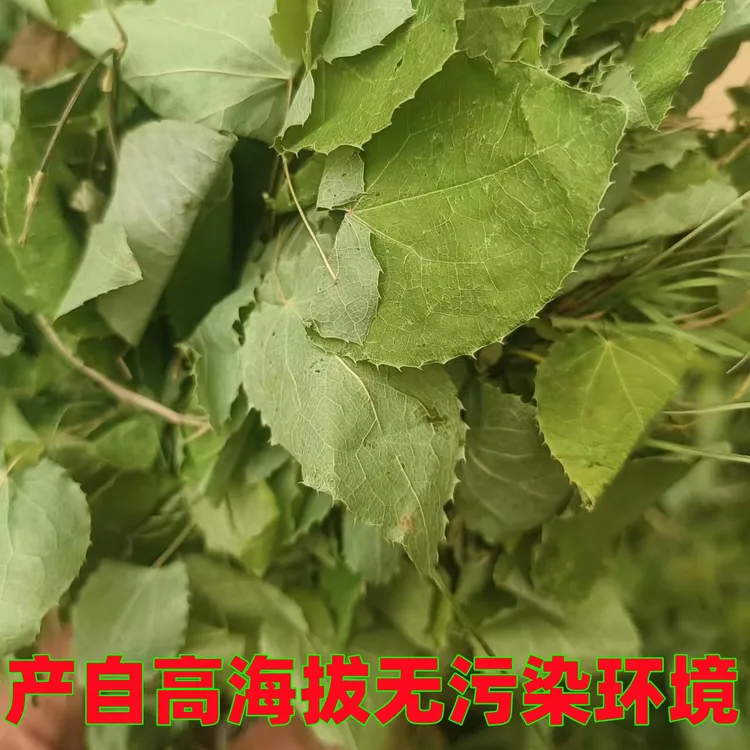 甘肃小叶子小圆叶三支九叶草羊爱草可搭配枸杞