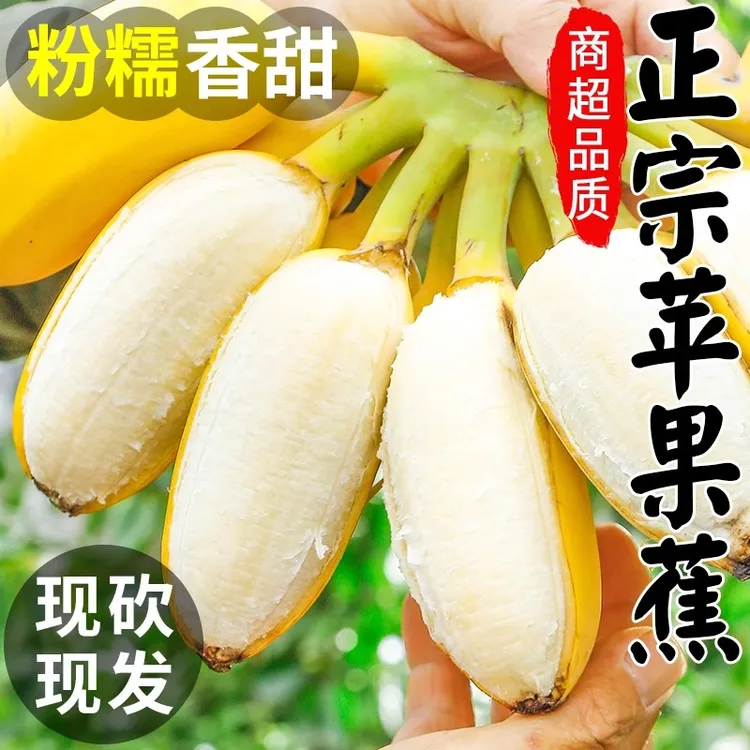 【坏果包赔】正宗苹果蕉应季新鲜水果香甜软糯粉蕉香蕉自然熟放心吃