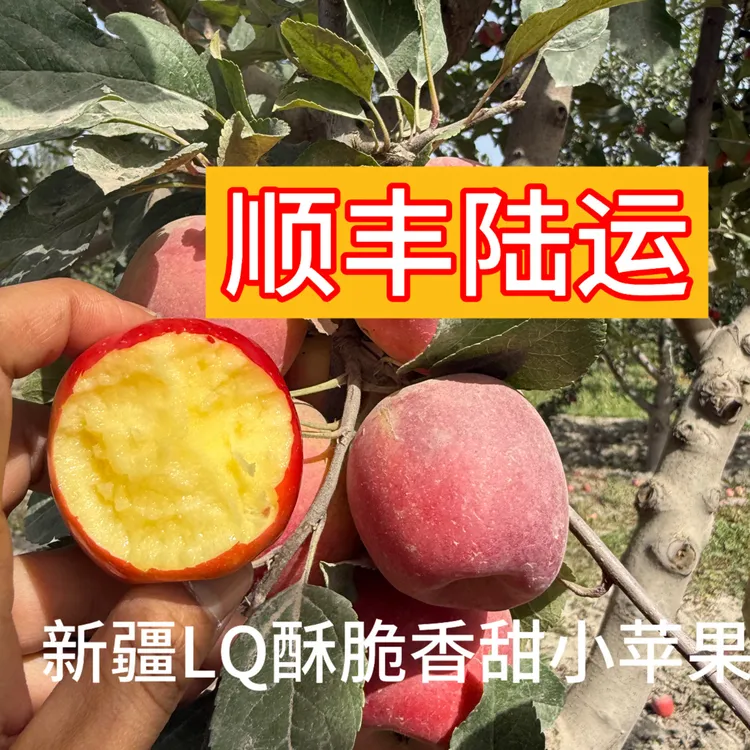 【顺丰陆运】5到7天到新疆Lq酥脆小苹果浓香脆甜祖籍新西兰苹果