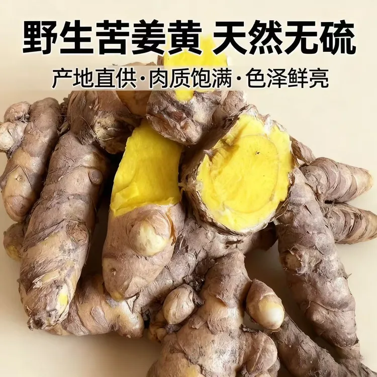 广西野生姜黄苦姜黄新鲜现挖小黄姜老姜产后月子姜洗头泡澡专用姜
