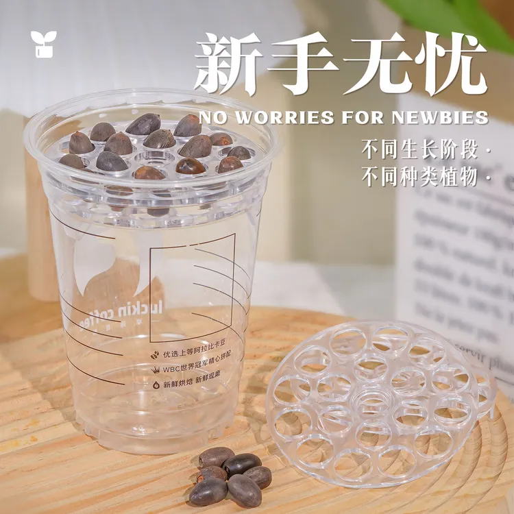 水培支架水培神器奶茶杯专属办公室桌子阳台厨房可水培植物