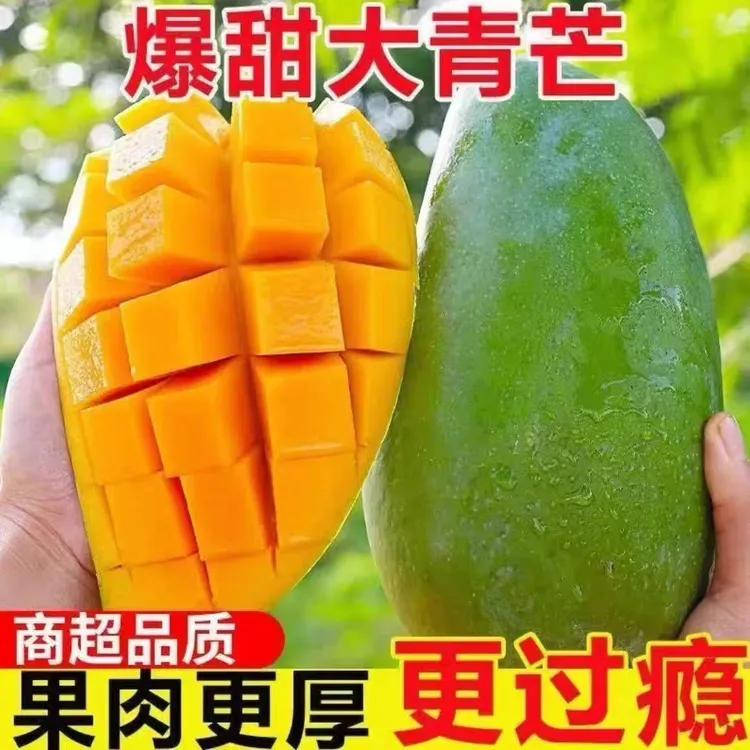 正宗大青芒青皮金煌芒软熟食用香甜多汁新鲜应季水果热带水果芒果
