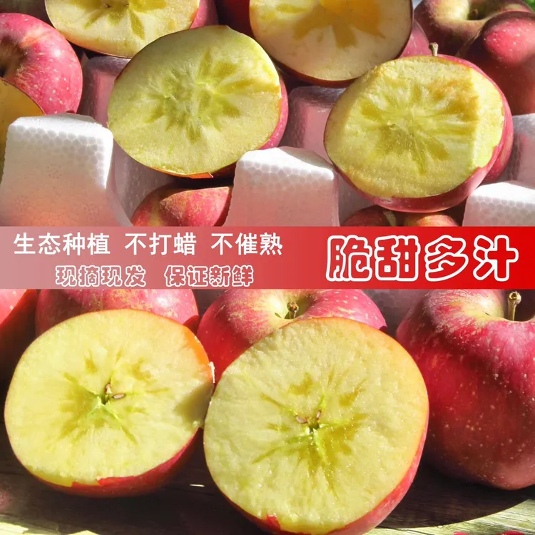 2025年正宗云南昭通冰糖心丑苹果原产地应季水果新鲜现摘脆甜多汁