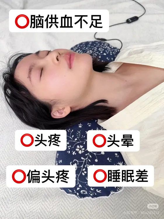 天麻粉正宗云南昭通小草坝乌天麻高山野长麻自然晾晒不熏硫无添加