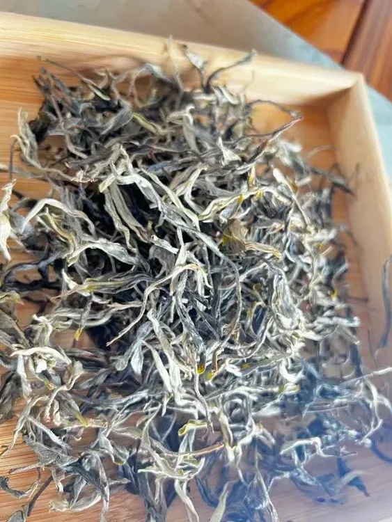 2025年香竹箐普洱茶生茶散茶
