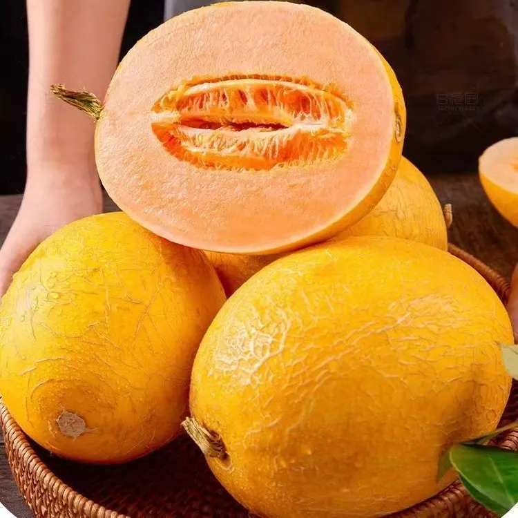 精选】海南黄金蜜瓜哈密瓜新鲜水果皮薄肉厚脆甜香瓜