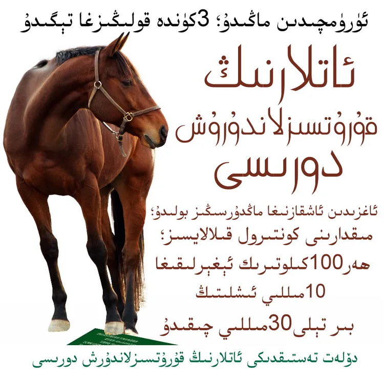 ئاتنىڭ قۇرۇتسىزلاندۇرۇش ئىچۈرمە دورىسى马驱虫