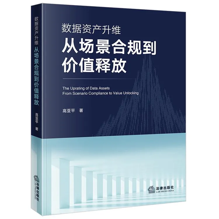 数据资产升维：从场景合规到价值释放 高亚平著 法律出版社