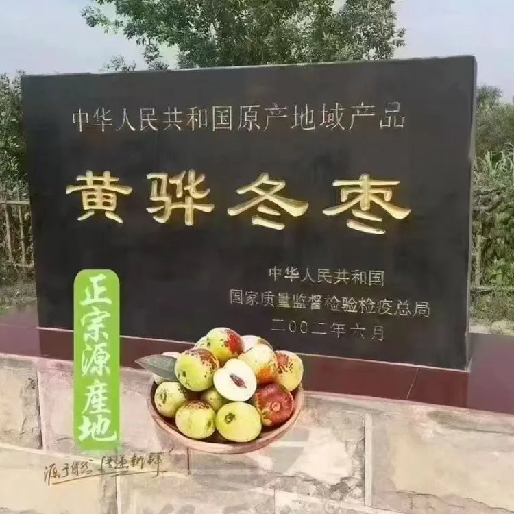 河北冬枣黄骅冬枣冬枣脆甜新鲜应季水果一件包邮大枣