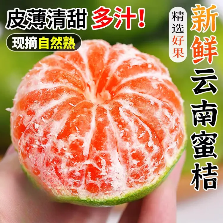 现摘云南青皮蜜橘酸甜多汁无籽当季新鲜水果适合孕妇《果小偏酸》