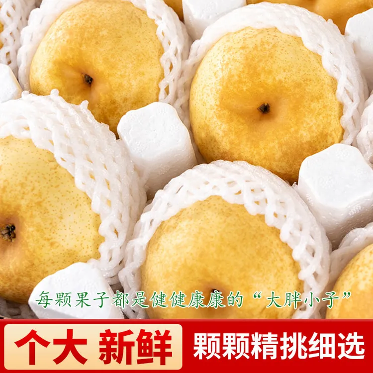 【中秋送礼】顺丰包邮到家博望黄金梨现摘现发皮薄多汁10斤装包邮