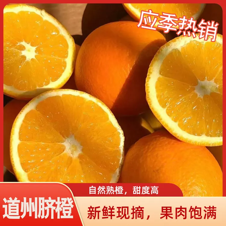 【影子专属】道州脐橙正宗纽荷尔品种高山脐橙橙子应季水果脆甜多汁