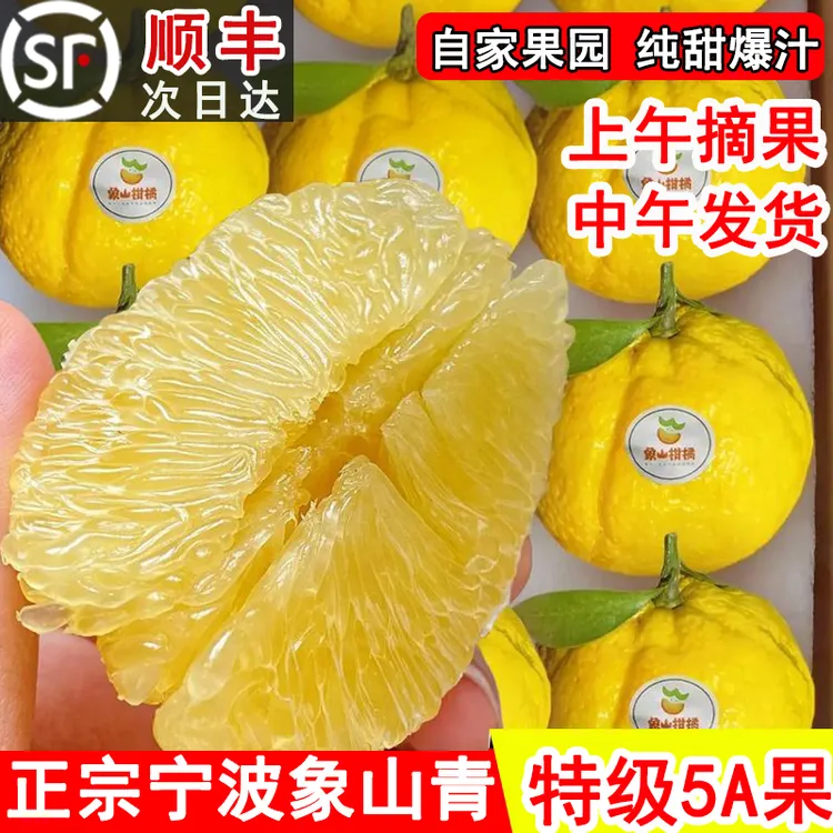 【纯甜 象山青】正宗浙江宁波象山青甘甜爽口核心产地果园包邮