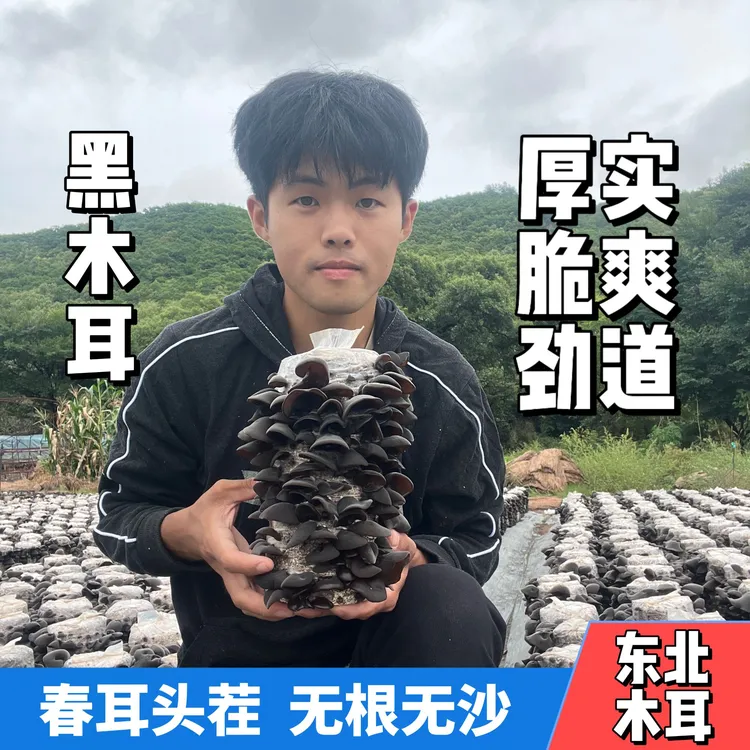 头茬黑木耳干货高泡发肉厚无根东北特产干木耳