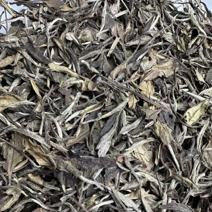 2015政和大白白牡丹