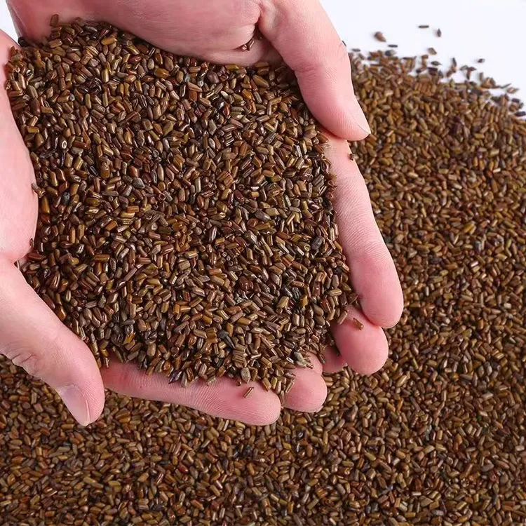 决明子炒制泡水喝可搭配赶黄草茶