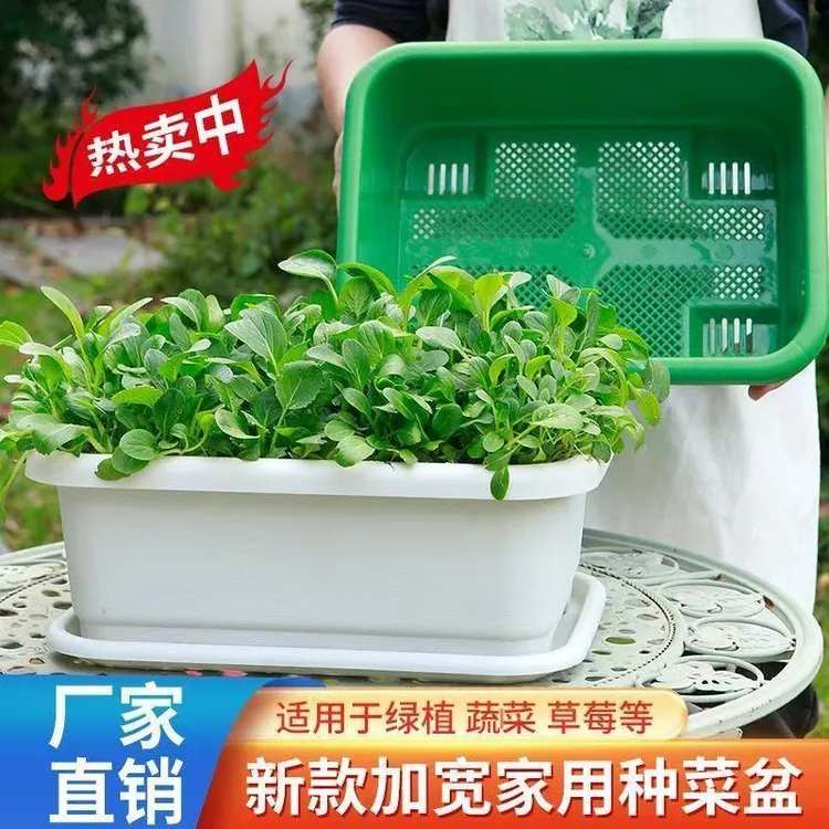 种菜专用箱花盆种菜盆塑料阳台长方形塑料家庭蔬菜种植盆种菜神器