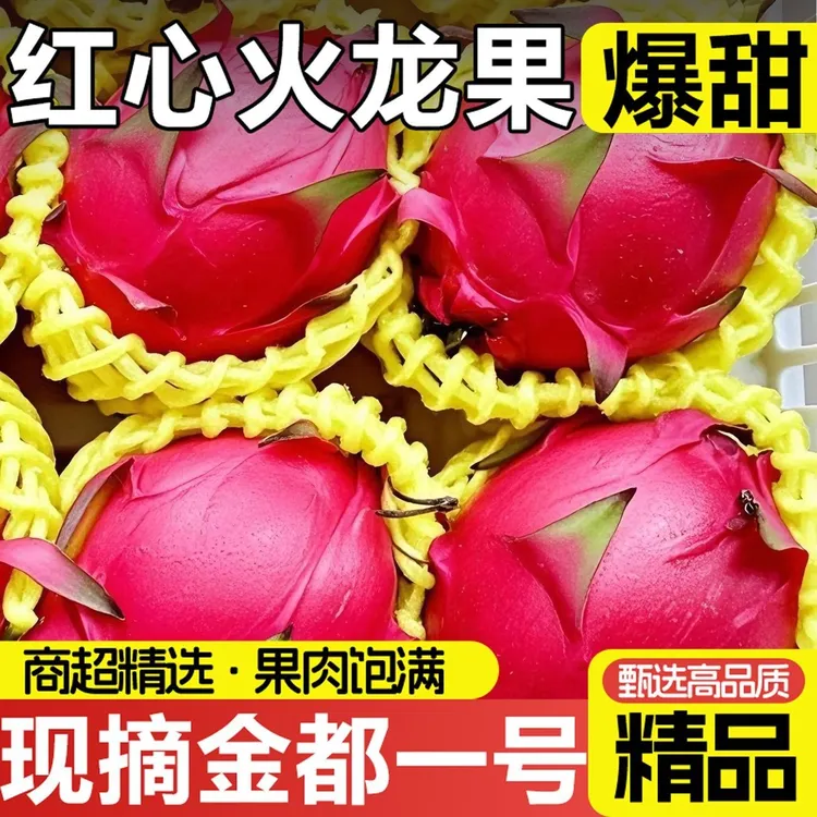 【精选红心火龙果5斤】云南高山新鲜红心火龙果树上熟现摘