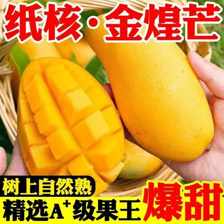 广东五华金煌芒果核薄肉厚爆甜无丝新鲜水果