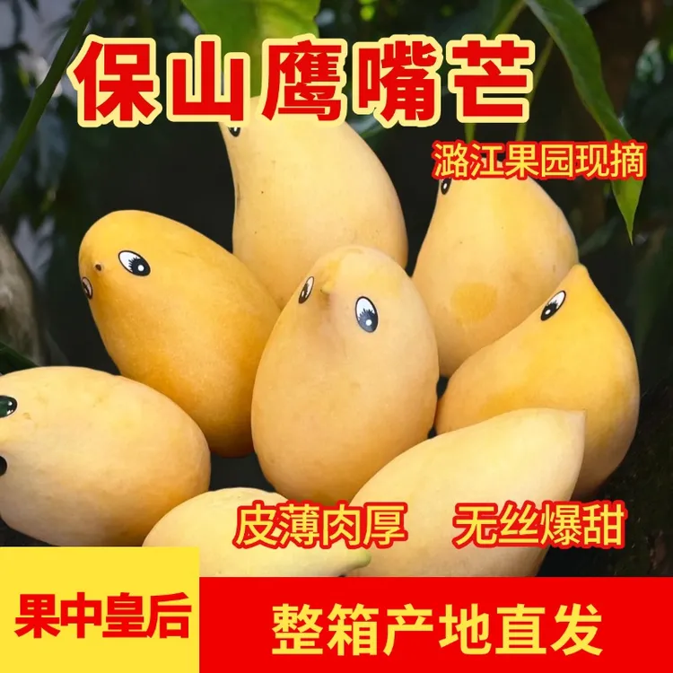 鹰嘴芒云南高山芒果高黎贡山薄核香甜多汁皮薄肉厚无丝爆甜