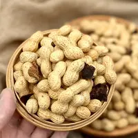 【双12】精选陈皮花生