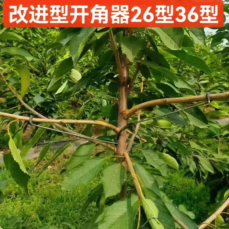 果树拉枝器定型器压枝别枝弯枝开角器果园工具厂家直销方便省力