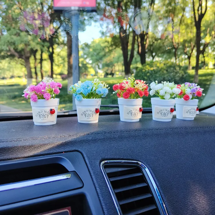 创意车载迷你植物汽车摆件中控台装吉祥果盆栽车载花盆减压装饰品