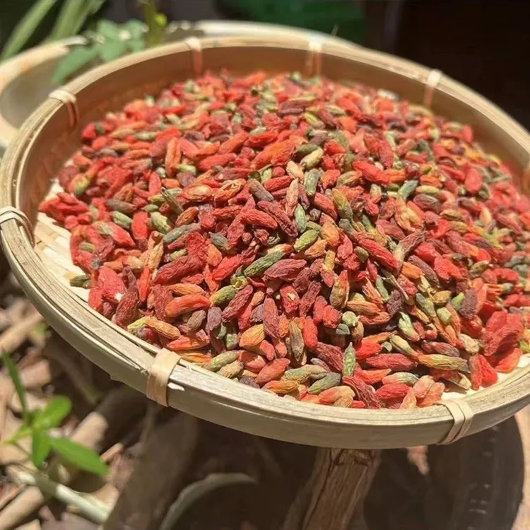 【云南七彩枸杞】500g大包装 泡茶煲汤佳品  农家自产干货