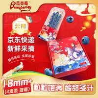 【千寻好物】蓝美莓云南蓝莓18mm+125g盒*4/8酸甜基地种植甄选包邮