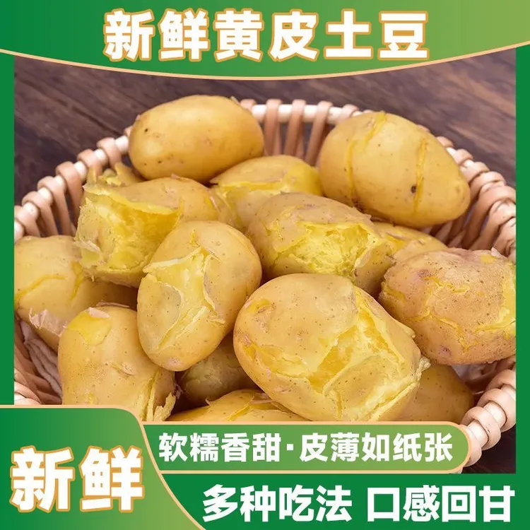 冉样【农家自种】甘肃定西现挖现发沙地黄心蔬菜沙面黄皮洋芋土豆