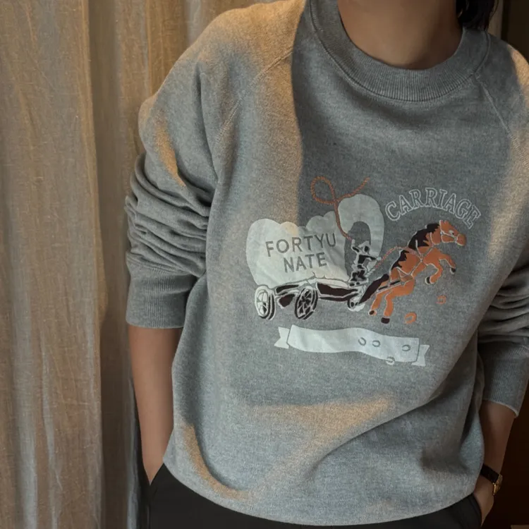 Ms.Qnn“手绘马车” 植绒印花撞色插肩袖长袖上衣 52T1033 Q姐