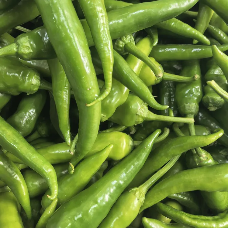 【村干助农代购】本地大棚新鲜辣椒现摘发货