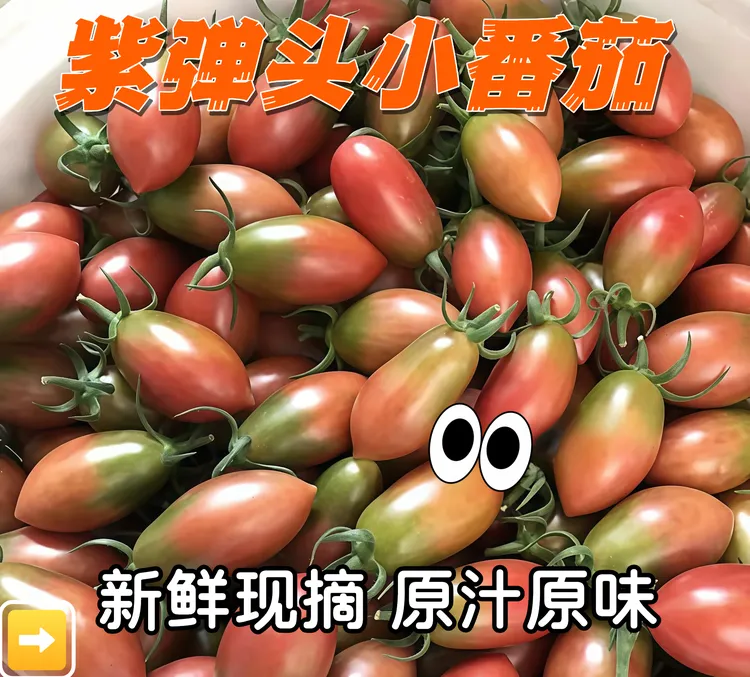 （3斤5斤）紫弹头小番茄子弹头圣女果福建漳新鲜西红柿应季孕妇水果