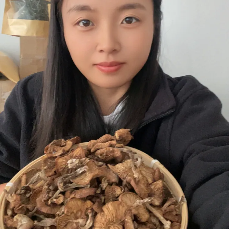 东北野生自然晾晒榛蘑蘑菇小鸡炖蘑菇榛蘑干蘑菇