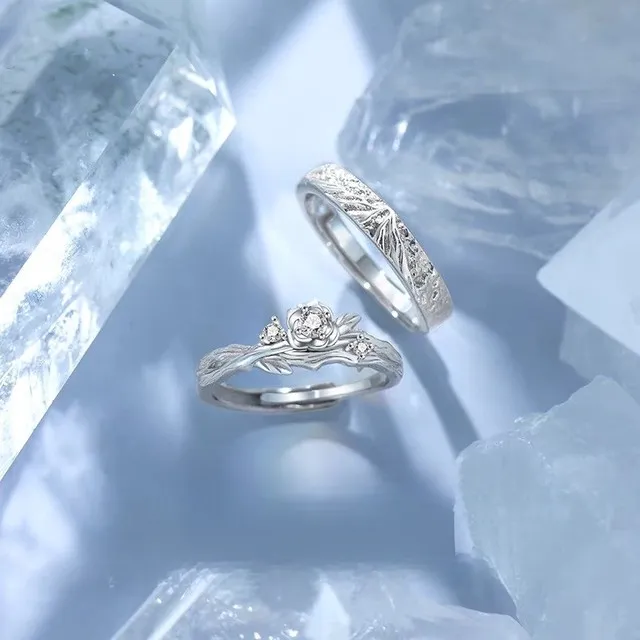 银情侣一对戒指小众设2025款可调节大小送对象礼物高级感精美