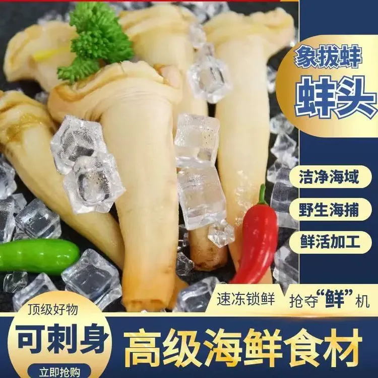 小玲即食象拔蚌鲜活速冻蚌头刺身（会存在海鲜的腥味哦，接受拍）